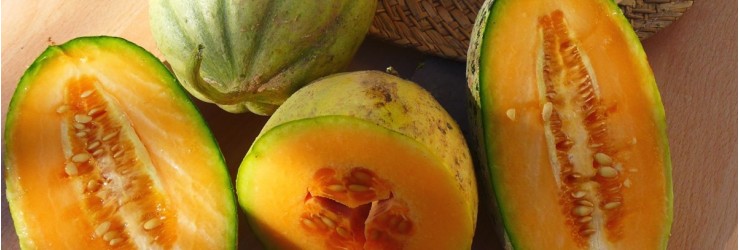 Melons