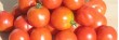 Tomates