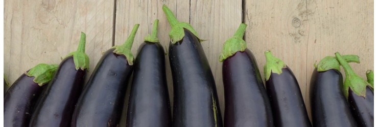 Aubergines