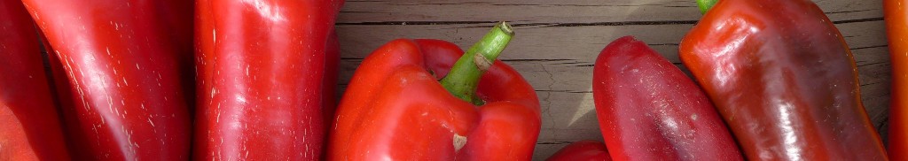 RED MARCONI
